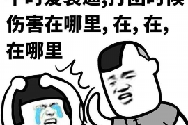 施甸贷款清欠服务